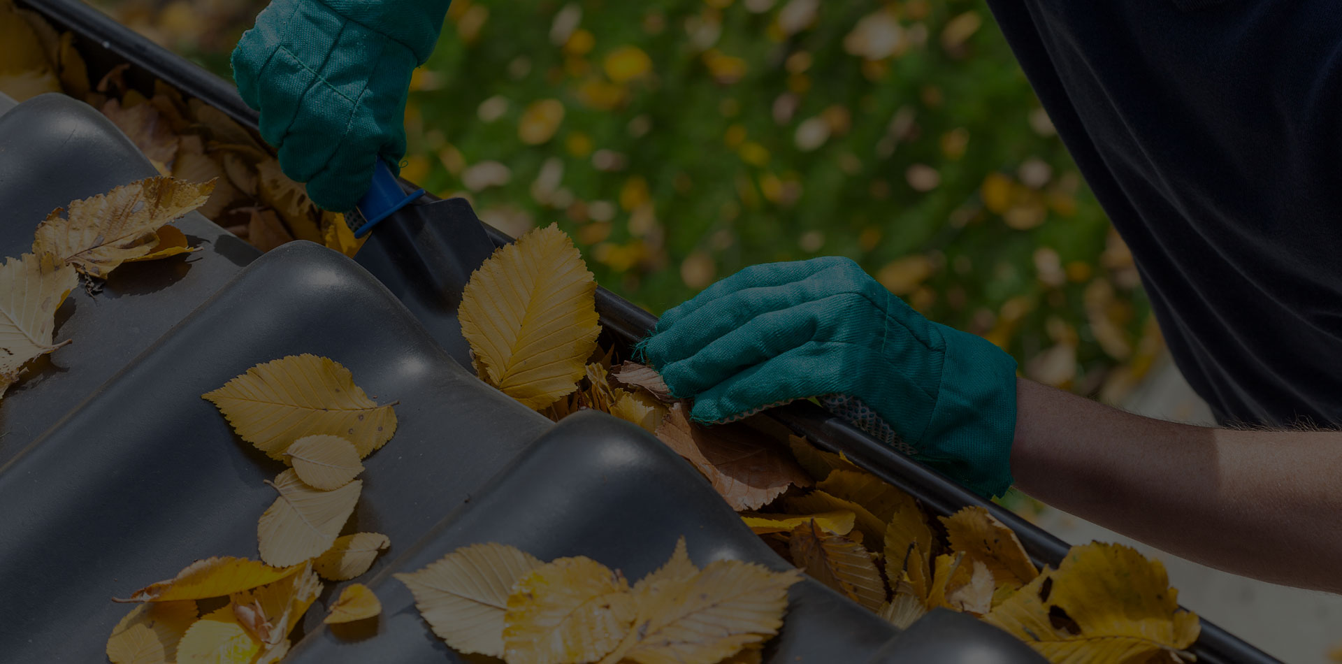 roof gutter cleaning