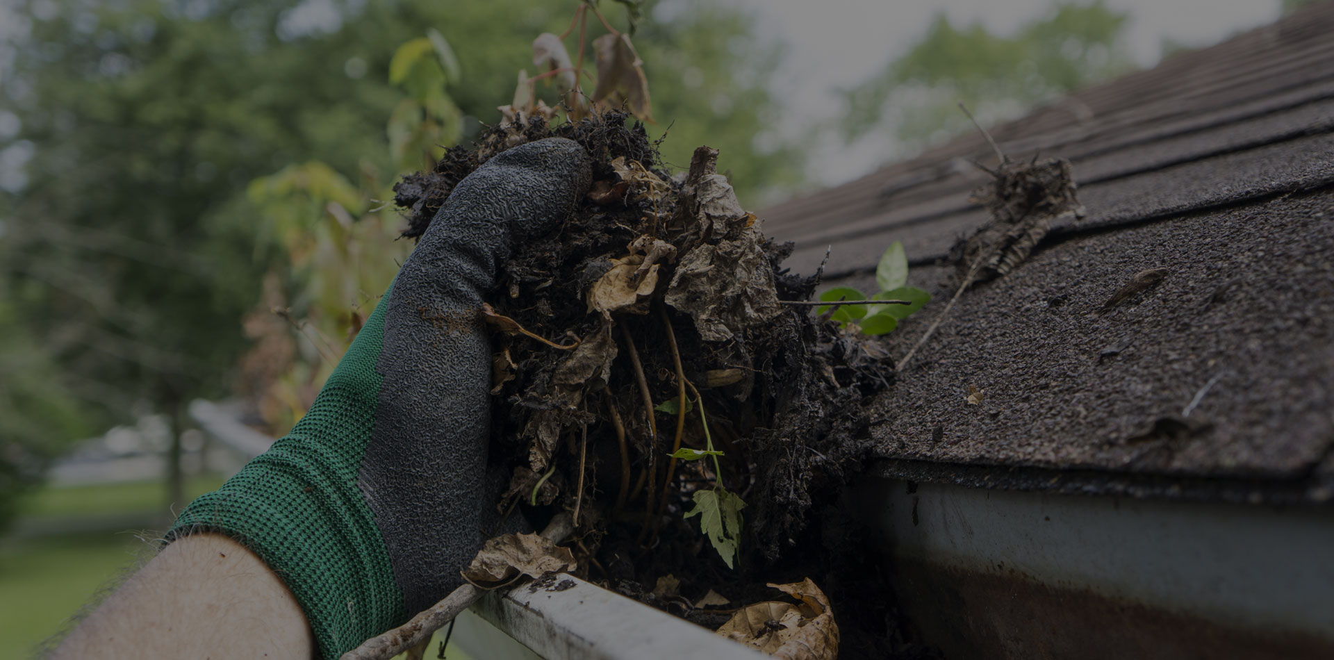 Gutter Cleaning service