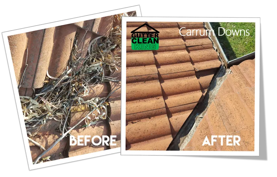 Before and after gutter clean in Carrum Downs
